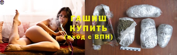 гашик Алексеевка