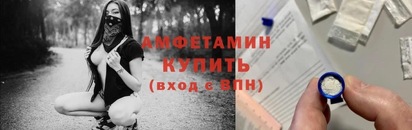гашик Алексеевка