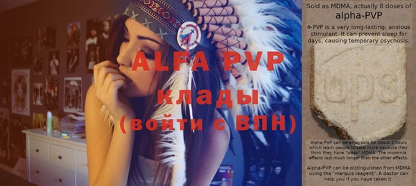 гашик Алексеевка