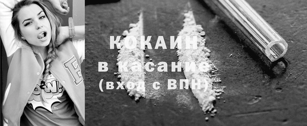 гашик Алексеевка